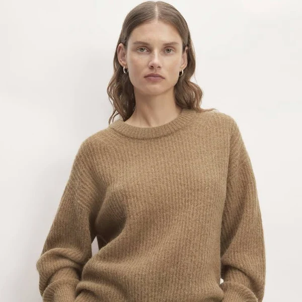 Everlane Cocoon Crew in Alpaca